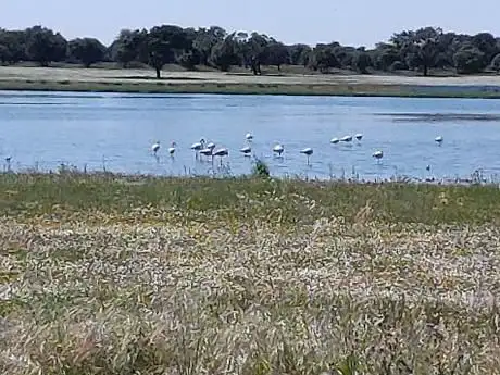 Photo de Zepa Llanos y Complejo lagunar de La Albuera