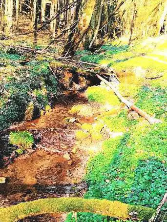 Heilbachtal mit Naturlehrpfad und mystischer kleiner Klamm