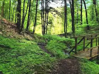 Photo de Guldenschlucht