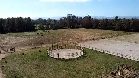 ASD Centro Ippico New Farm