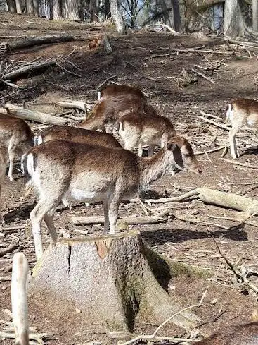 Tiergehege