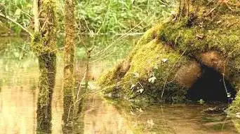 Espace naturel sensible du vallon de l'Arot