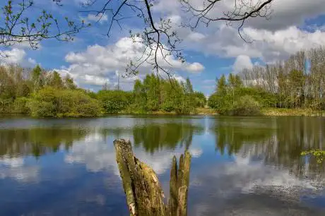 Photo de Brasside Pond