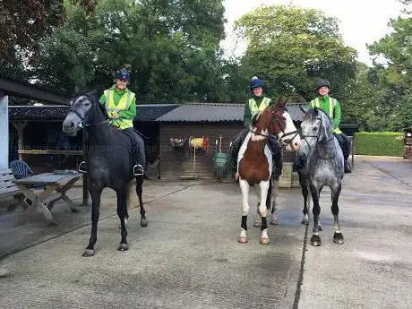 Lavant Equestrian