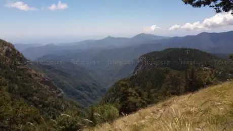 Carmo Ciaberta