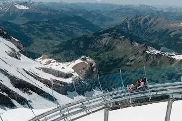 Alpine Coaster
