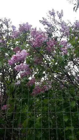 Photo de Montilia Bo Garden