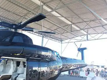 Paris Airshow Visitors