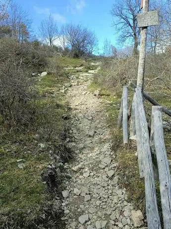 Monte Pellecchia
