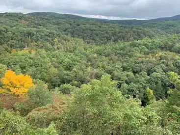 Photo de Green Ridge State Forest