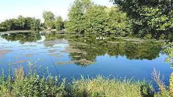 Photo de L'ile d'Essegney