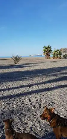Photo de Campo Fútbol Playa
