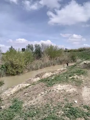 Photo de Paraje Del Agua Salá