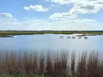 Photo de Farlington Marshes Nature Reserve