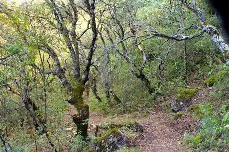 Photo de Sendero de Santa Rita
