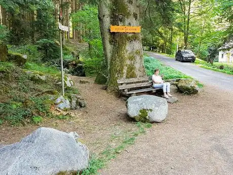 Photo de Sapin du Kolben