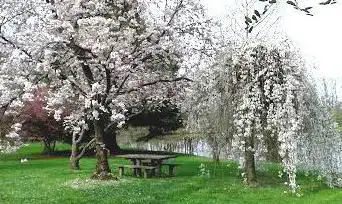 Photo de Arboretum
