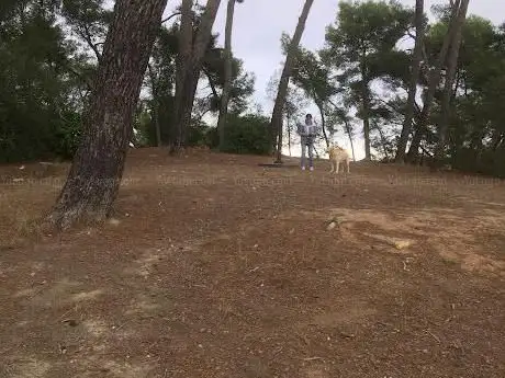 Photo de Parc Loisir De Castelsec