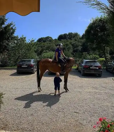 Photo de Lonee Ranch A.S.D.