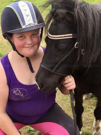 Photo de New Range Horse Riding School & Rescue Centre