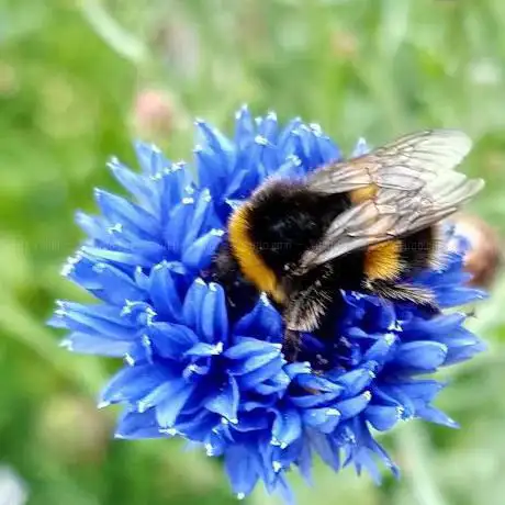 Photo de Halesworth Gallery