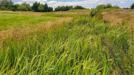 Photo de Eccleston Park Golf Course