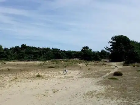 Photo de Boshoverheide