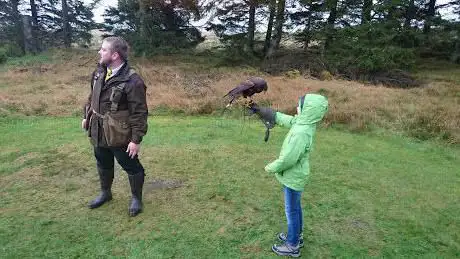 Photo de Phoenix Falconry Services Ltd