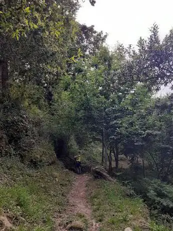 Photo de Castro de Saiáns
