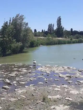 Photo de Étang des Paluds