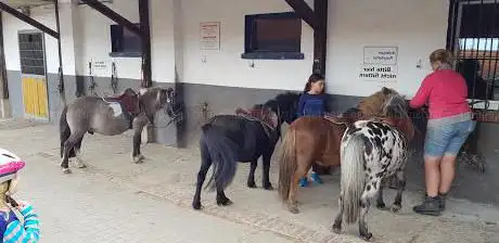 Ponyhof Meisel