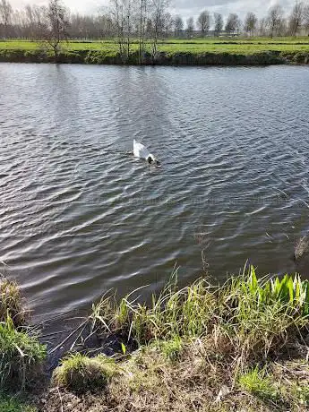 Speelbos Wielsbeke