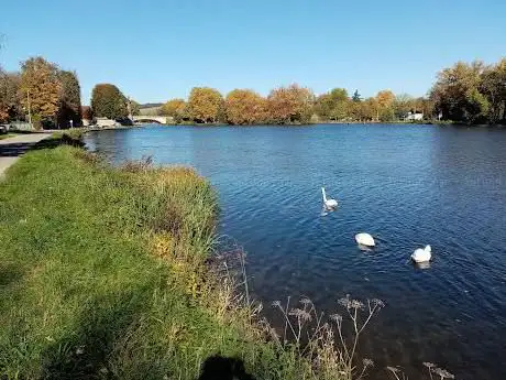 Photo de Bord de L'Yonne