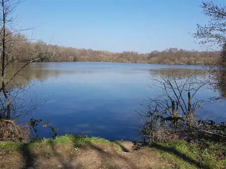 Photo de Balcombe Lake