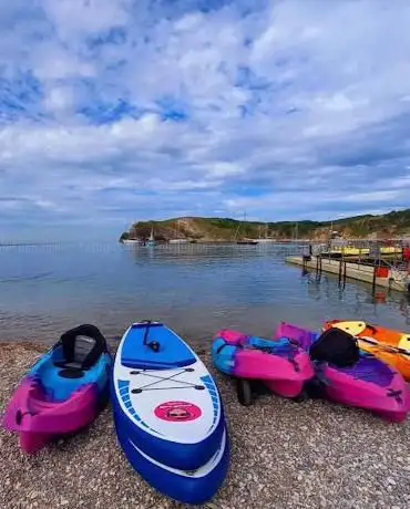 Wave Monkey Watersports