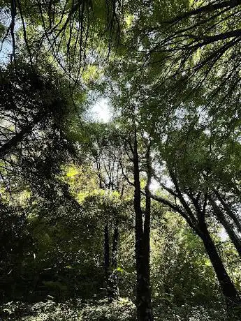 Wwf Oasi Societa' Unipersonale A R.L.