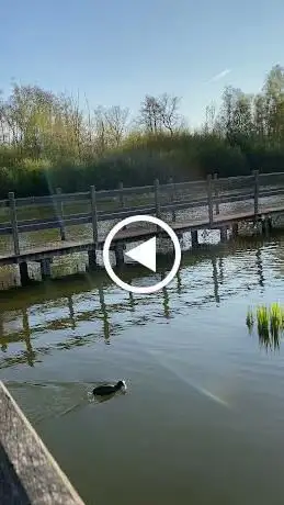 Dierenweide Bovy