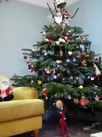 Festive trees