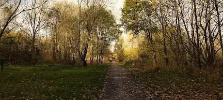 Photo de Swadlincote Wetlands
