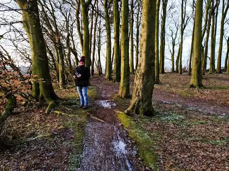 Photo de Frankley Beeches