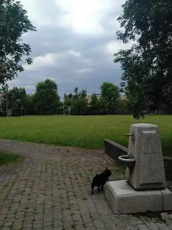 Photo de Parco Carità