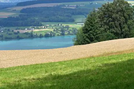 Hallwilersee Blick