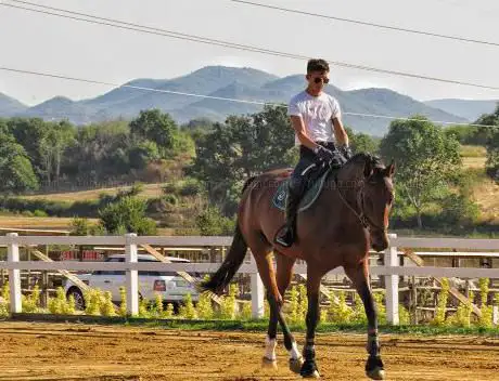 Photo de De Santis Equestrian Team A.S.D.