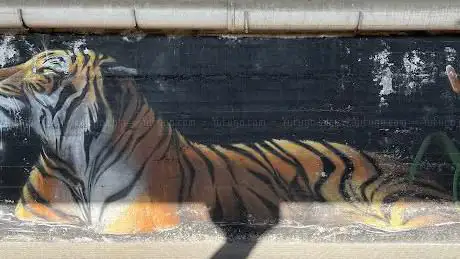 Photo de Galleria dei Graffiti