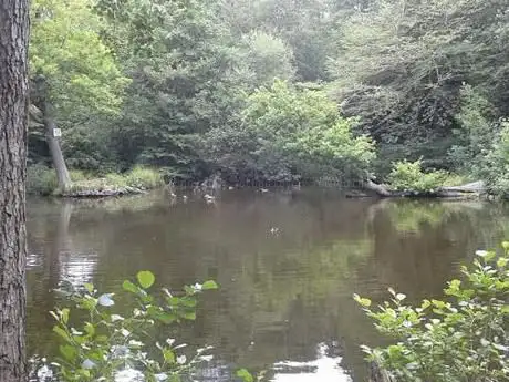 Photo de Hawkhurst Nature Pond