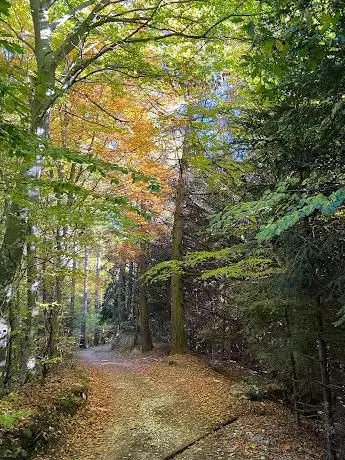 Photo de Biotopo Prà dell'Albi-Cei