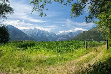 Photo de Ingresso Riserva Naturale