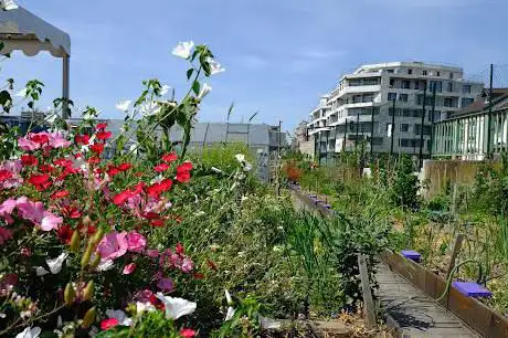 Photo de Terre Terre (ferme urbaine)