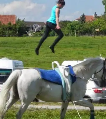 Photo de Voltige Grolley