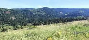 Point de vue de Saurémont